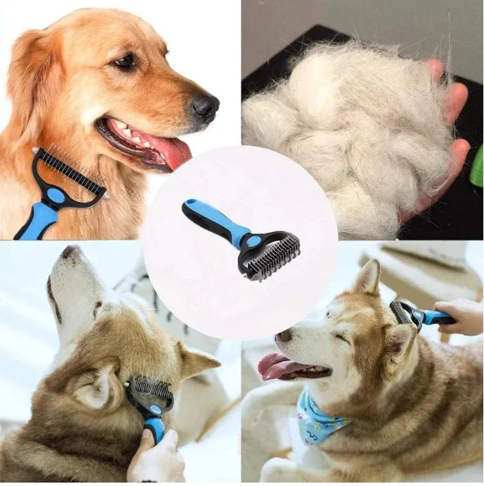 5 Simple Grooming Tips to Reduce Shedding in Dogs (Beginner-Friendly Guide)