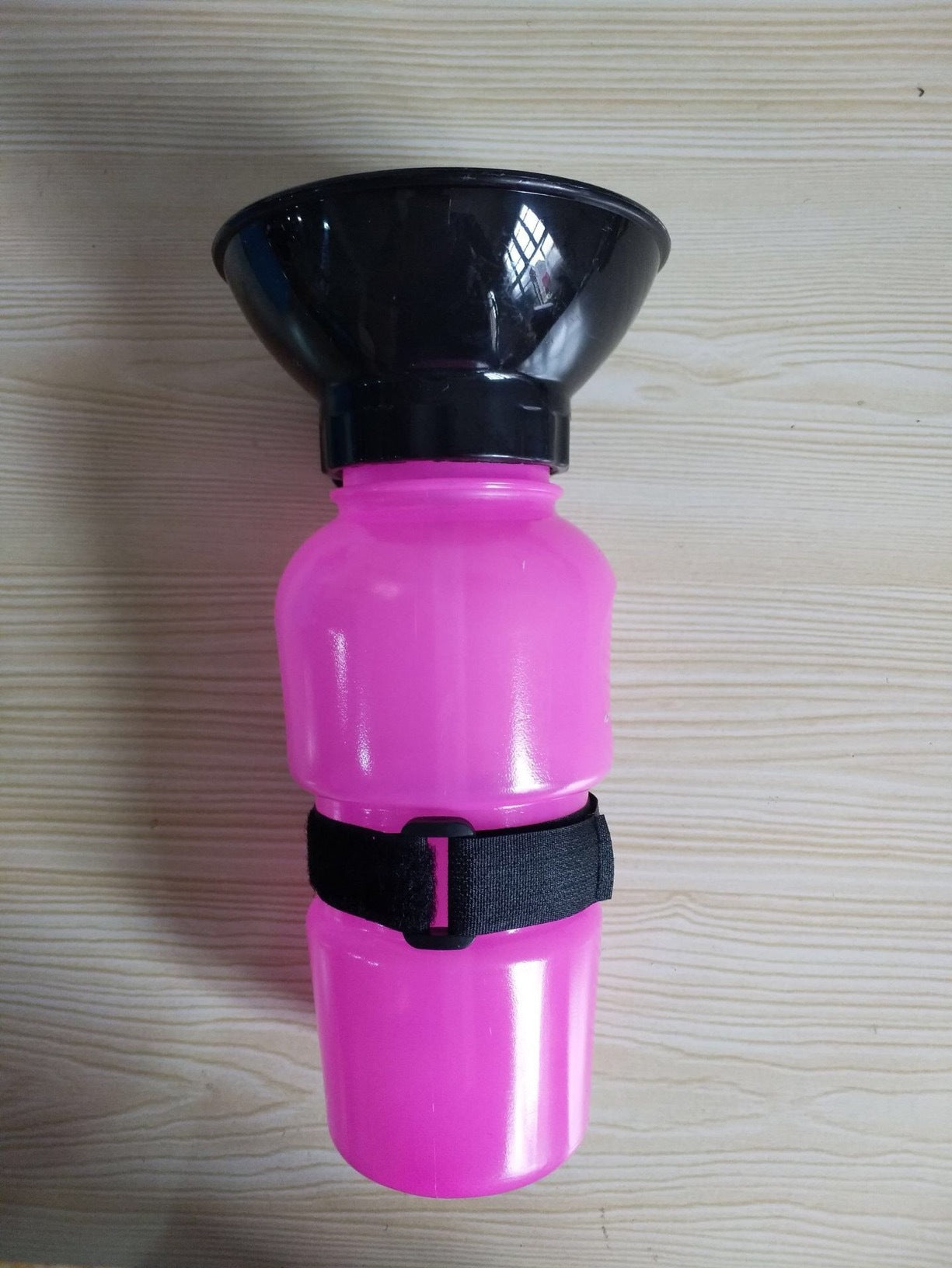 Nasoza - Aqua Dog Water Bottle