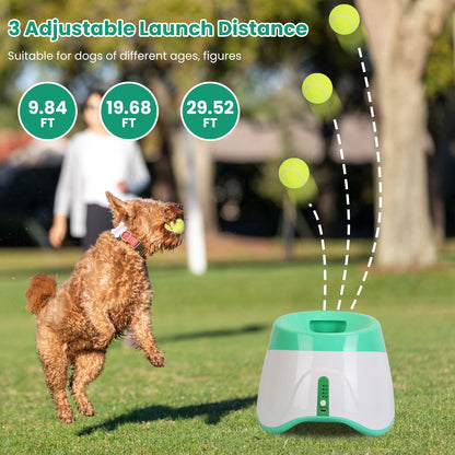 Nasoza Automatic Dog Ball Launcher