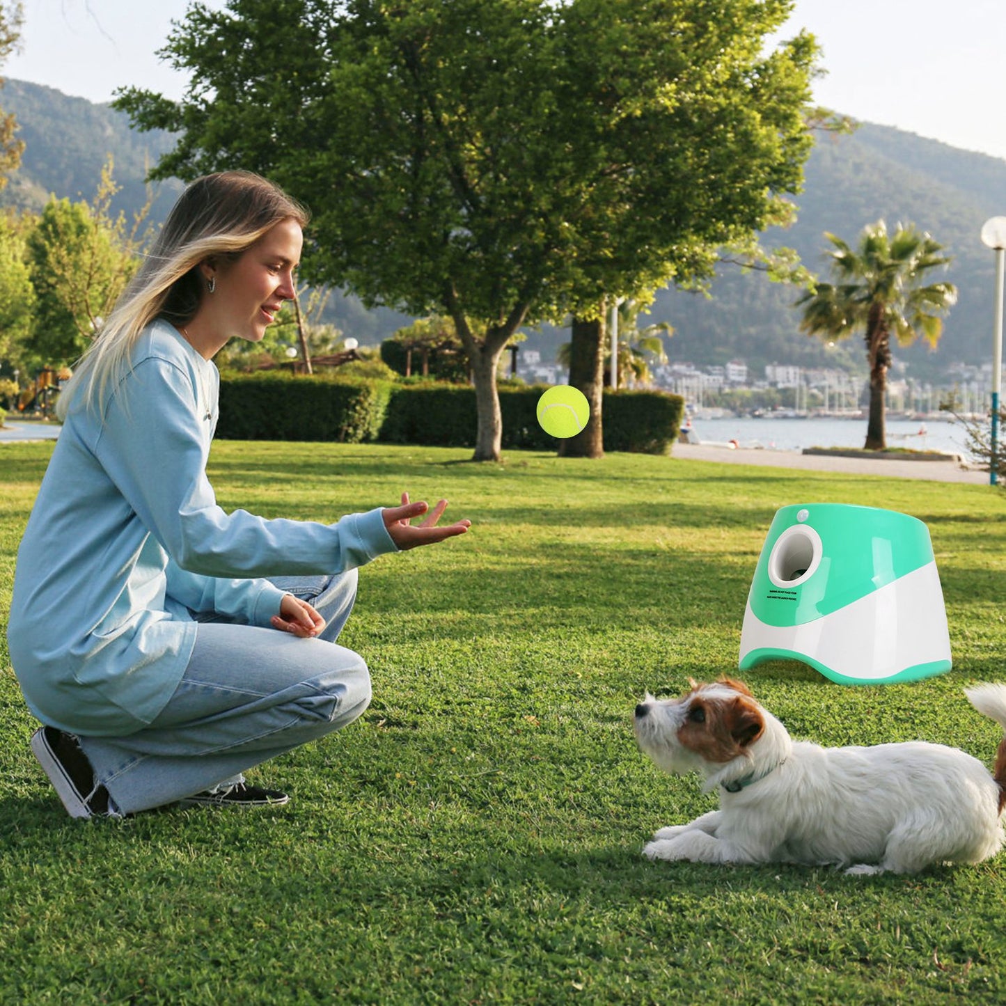 Nasoza Automatic Dog Ball Launcher