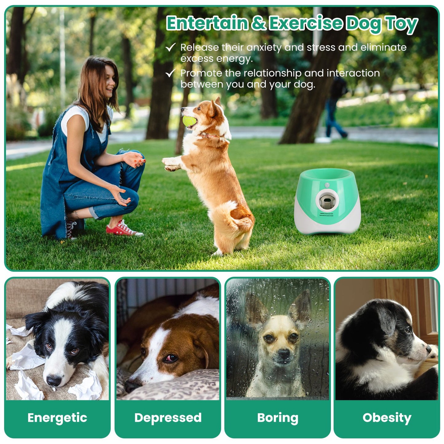 Nasoza Automatic Dog Ball Launcher